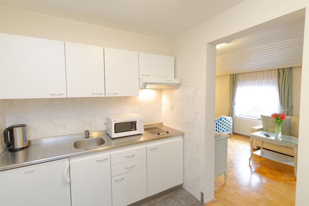 Aparthotel Vila Minka Λιουμπλιάνα Δωμάτιο φωτογραφία